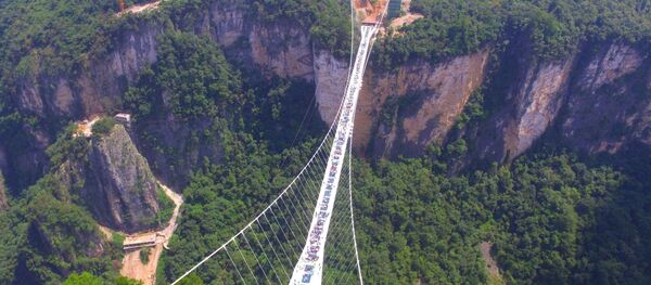 أطول جسر زجاجي في العالم - جسر زجاجي يمر من فوق وادي زانغجياجي بمقاطعة هونان في الصين - سبوتنيك عربي