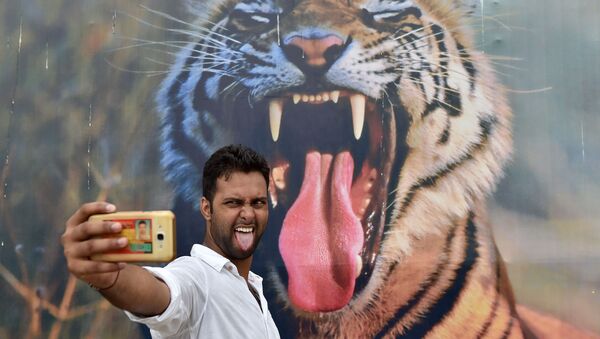 رجل هندي يأخذ صورة سيلفي له على خلفية جدارية كبيرة لحيوان النمر ، خلال مهرجان بهرات باراف في نيودلهي، الهند 18 أغسطس/ آب 2016 - سبوتنيك عربي