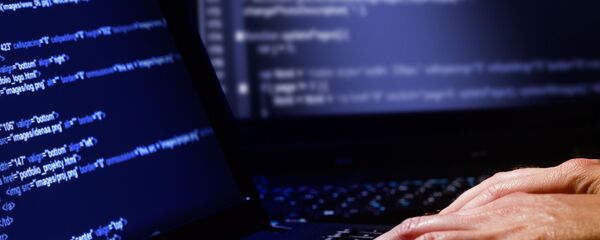 مخترق كمبيوتر مخترق كمبيوتر - سبوتنيك عربي