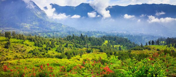 جزيرة جاوا - سبوتنيك عربي