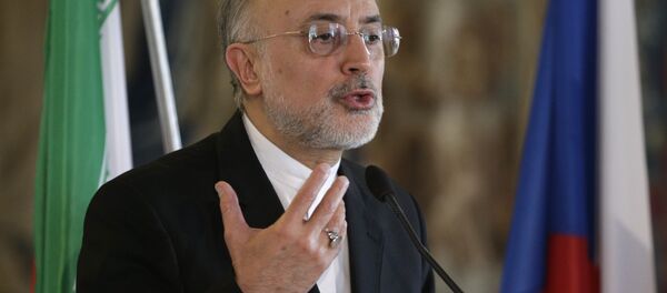 علي اكبر صالحي - سبوتنيك عربي