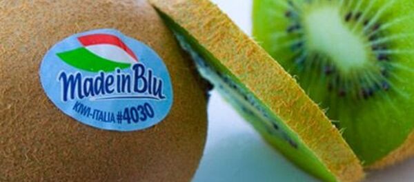 كيوي - سبوتنيك عربي