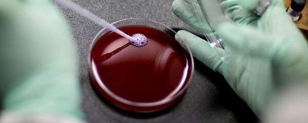 مختبر الدم - سبوتنيك عربي