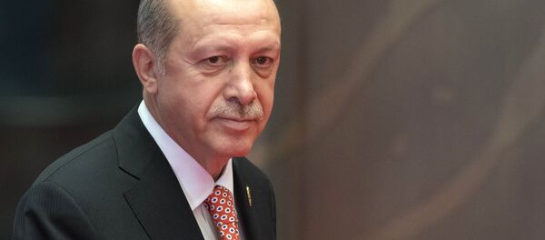 رجب طيب أردوغان - سبوتنيك عربي