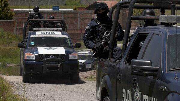 شرطة المكسيك - سبوتنيك عربي
