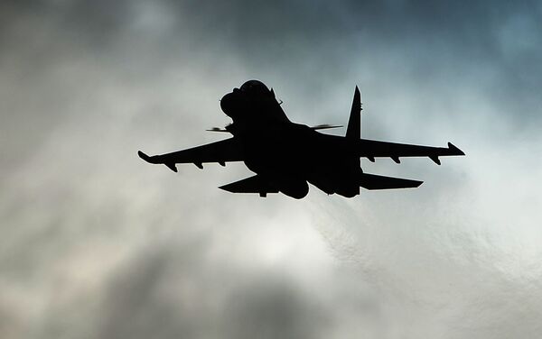 مقاتلة سو-30 إس إم - سبوتنيك عربي