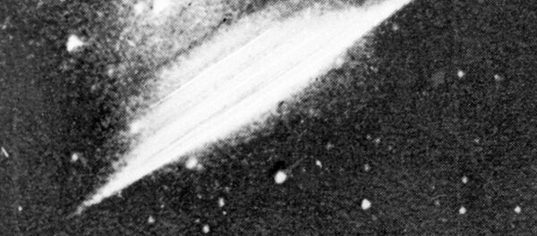 طبق طائر - سبوتنيك عربي