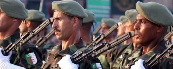 الجيش الجزائري - سبوتنيك عربي