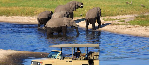 اليوم العالمي للسياحة - زيارة الفيَلة في سفاري بارك. - سبوتنيك عربي