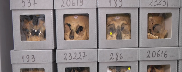 متحف لجماجم المقاومين - سبوتنيك عربي