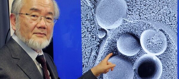 العالم الياباني يوشينوري أوسومي - سبوتنيك عربي