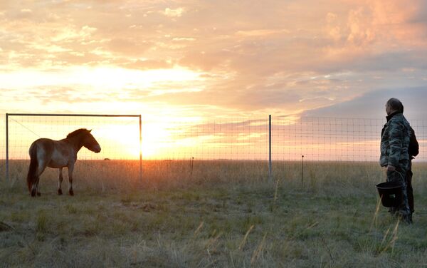 الرئيس الروسي فلاديمير بوتين في رحلة عمل إلى محمية طبيعية في أورينبورغ - سبوتنيك عربي