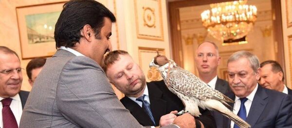 أمير قطر - سبوتنيك عربي