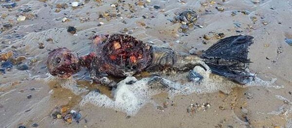 جثة حورية ميتة - سبوتنيك عربي