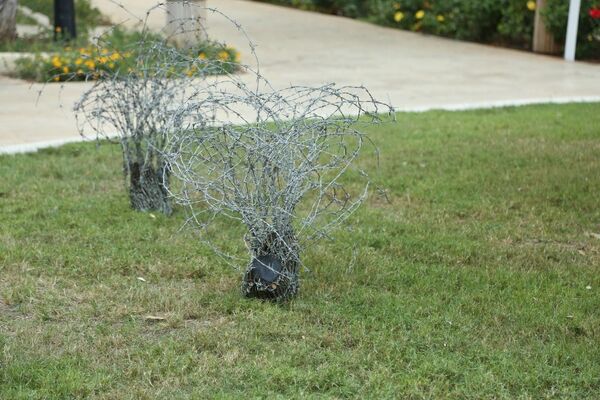 حديقة تتحول إلى معرض فني في بيروت - سبوتنيك عربي