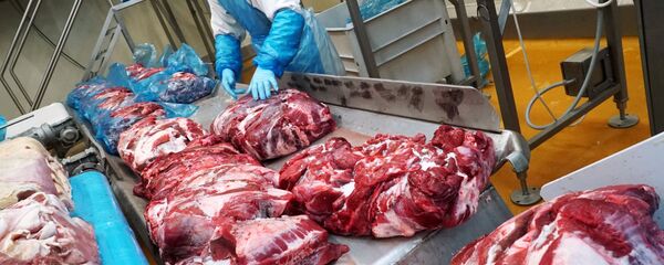 لحوم لحوم - سبوتنيك عربي