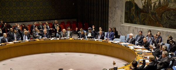 مجلس الأمن الدولي - سبوتنيك عربي