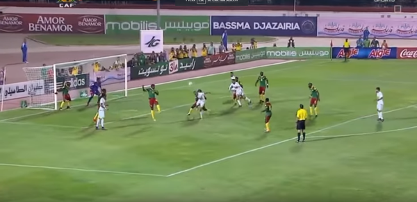 الجزائر والكاميرون - سبوتنيك عربي