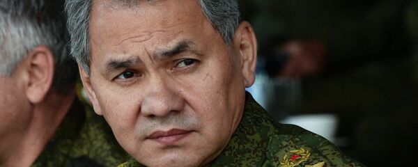 سيرغي شويغو - سبوتنيك عربي