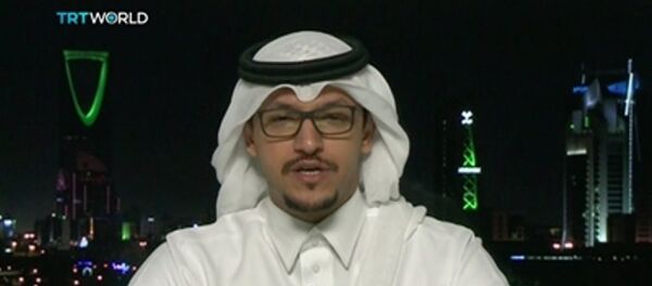 سلمان الأنصاري، رئيس لجنة شؤون العلاقات العامة السعودية - الأميركية سلمان الأنصاري، رئيس لجنة شؤون العلاقات العامة السعودية - الأميركية - سبوتنيك عربي