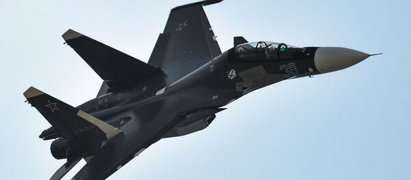 مقاتلة سو-30إس إم - سبوتنيك عربي