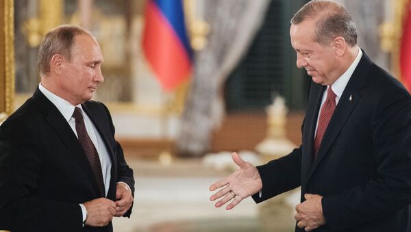 الرئيس فلاديمير بوتين يلتقي بالرئيس رجب طيب أردوغان في اسطنبول - سبوتنيك عربي