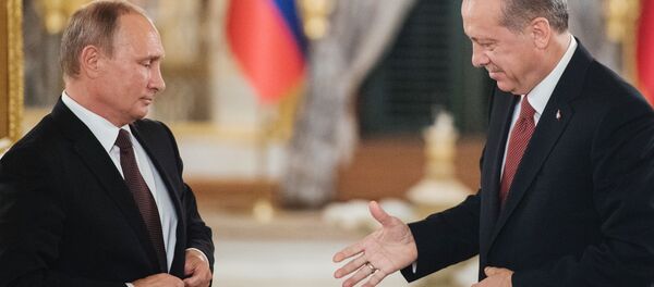 الرئيس فلاديمير بوتين يلتقي بالرئيس رجب طيب أردوغان في اسطنبول - سبوتنيك عربي