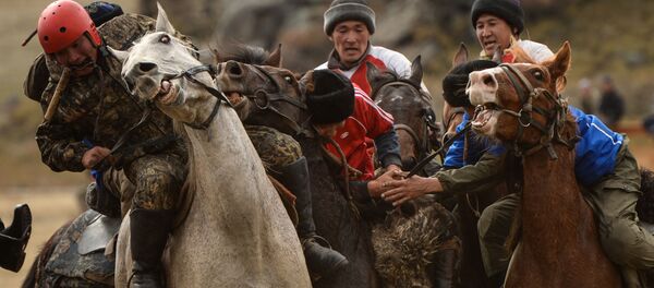 المشاركون في بطولة سباق الخيل لجمهورية ألتاي، أكتوبر/ تشرين الأول 2016 - سبوتنيك عربي