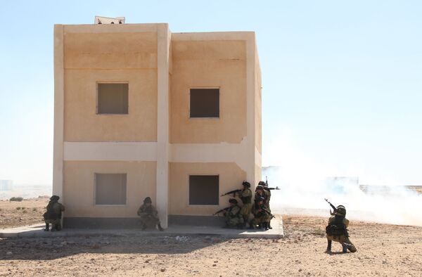 قوات أمن مصرية-أرشيفية - سبوتنيك عربي