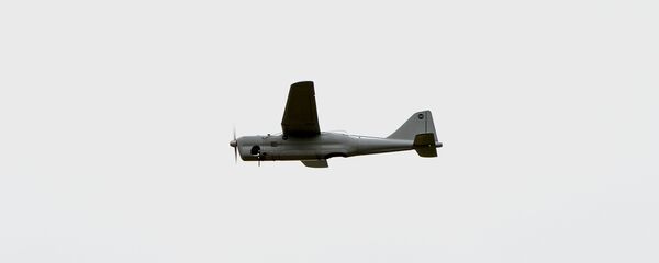 طائرة مسيرة بدون طيار طائرة مسيرة بدون طيار - سبوتنيك عربي