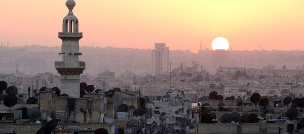 مدينة حلب - سبوتنيك عربي