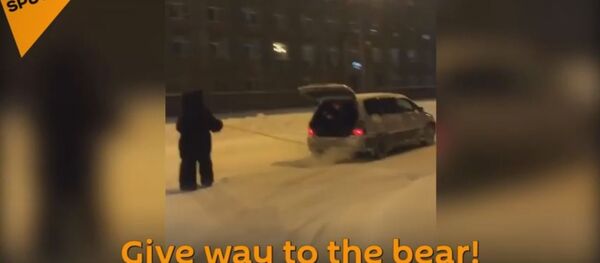 شاب يرتدى زي دب فى روسيا - سبوتنيك عربي