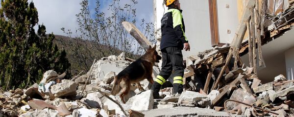 زلزال إيطاليا زلزال إيطاليا - سبوتنيك عربي