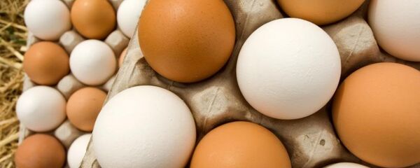 بيض - سبوتنيك عربي