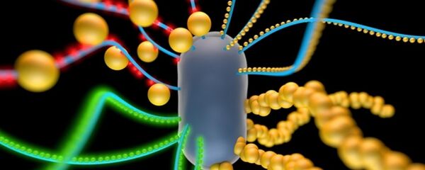 بكتيريا تتغذى على الكهرباء - سبوتنيك عربي