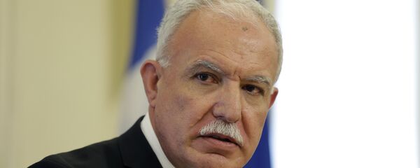 رئيس الوزراء الفلسطيني رياض المالكي رئيس الوزراء الفلسطيني رياض المالكي - سبوتنيك عربي