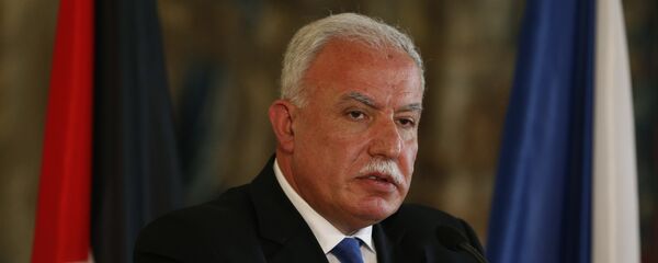 وزير الخارجية الفلسطينية رياض المالكي - سبوتنيك عربي
