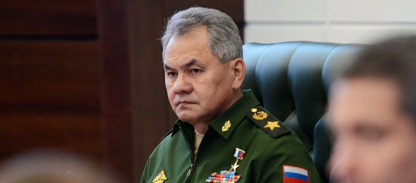 سيرغي شويغو - سبوتنيك عربي