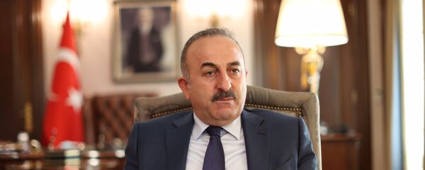 وزير الخارجية التركية مولود جاويش أوغلو - سبوتنيك عربي