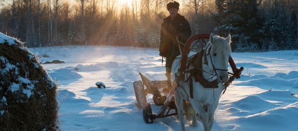 عربة يقودها رجل في قرية بيريزوفكا بمقاطعة تومسك - سبوتنيك عربي
