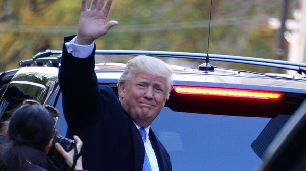 انتخابات الرئاسة الأمريكية - سبوتنيك عربي