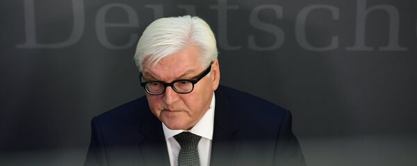 وزير الخارجية الألماني فرانك فالتر شتاينماير - سبوتنيك عربي