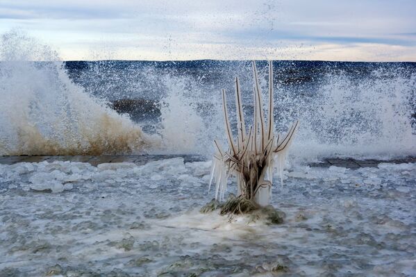 بحيرة أونيغا في بيتروزافودسك - سبوتنيك عربي