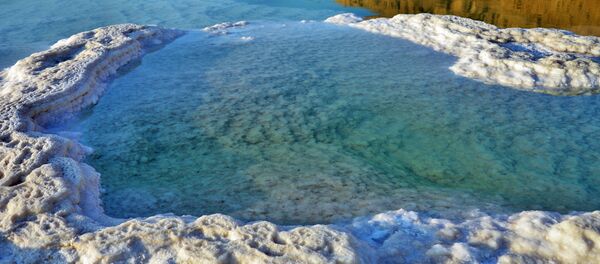  أملاح البحر الميت - سبوتنيك عربي