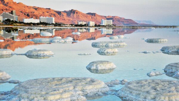 مشهد يطل على أحد شواطئ البحر الميت - سبوتنيك عربي