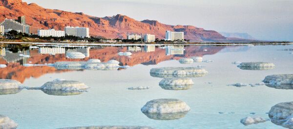 مشهد يطل على أحد شواطئ البحر الميت - سبوتنيك عربي