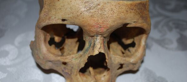 اعضاء بشرية - سبوتنيك عربي