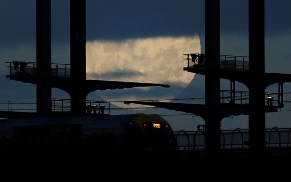 القمر العملاق على خلفية جسر سيدني هاربر بريدج في أستراليا،  14 نوفمبر/ تشرين الثاني 2016 - سبوتنيك عربي