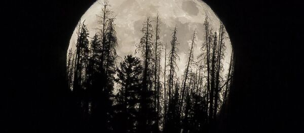 القمر العملاق في الولايات المتحدة،  14 نوفمبر/ تشرين الثاني 2016 - سبوتنيك عربي