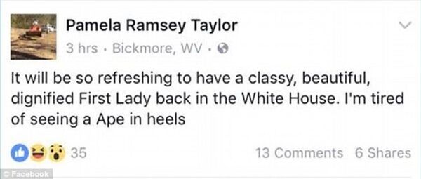 باميلا رامسي تايلور: سيكون منعشا جداً رؤية السيدة الأولى: جميلة وأنيقة وجليلة في البيت الأبيض. لقد تعبت من رؤية قردة تلبس حذاء ذا كعب عال - سبوتنيك عربي